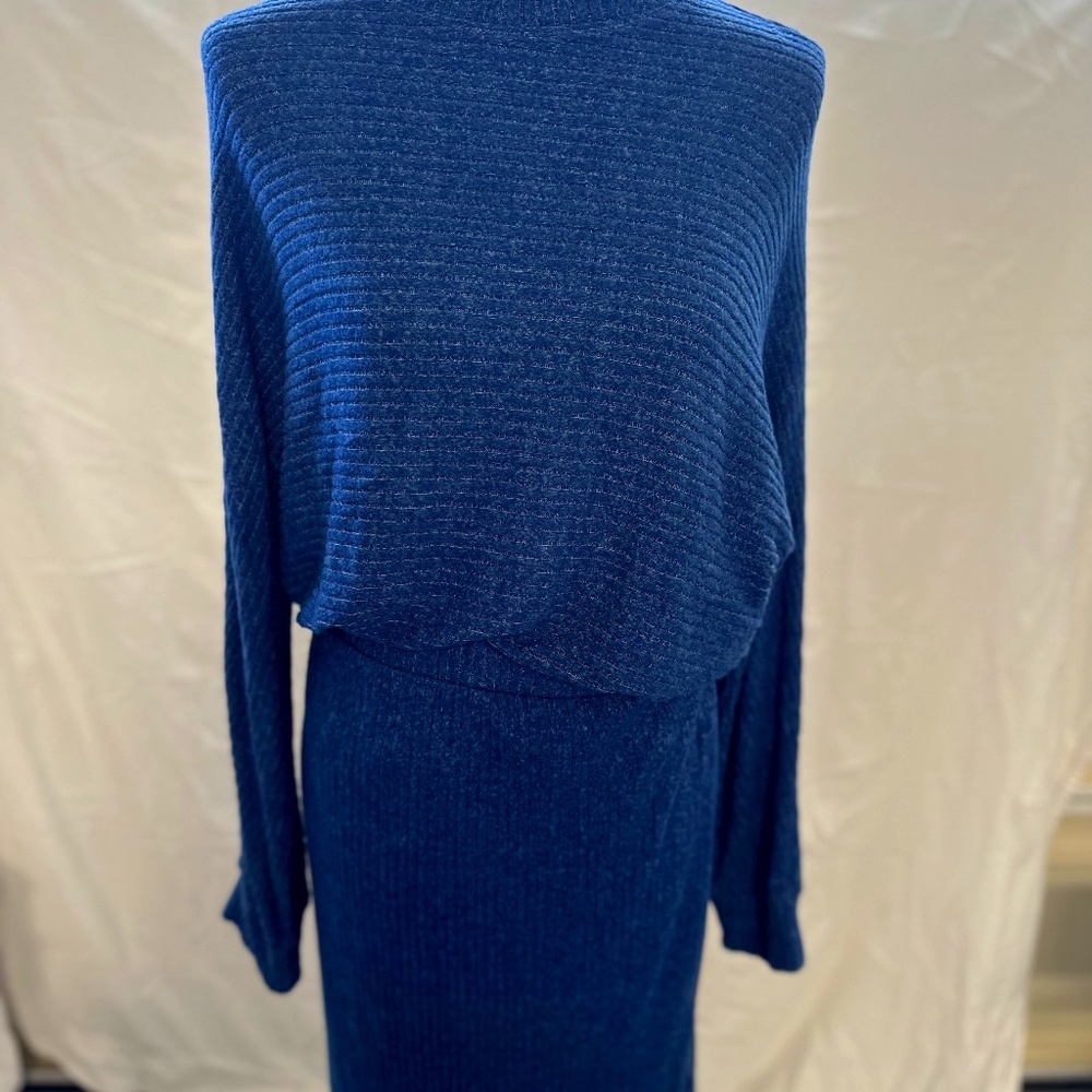 Anthropologie, never worn, cozy turtle neck dress, size M, blue with texture